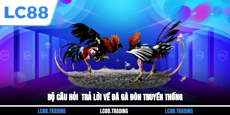 Bộ câu hỏi - trả lời về đá gà đòn truyền thống