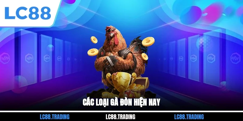 Các loại gà đòn hiện nay