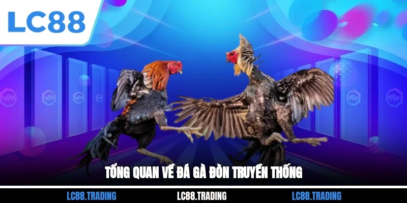 Tổng quan về đá gà đòn truyền thống
