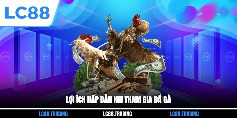 Lợi ích hấp dẫn khi tham gia đá gà