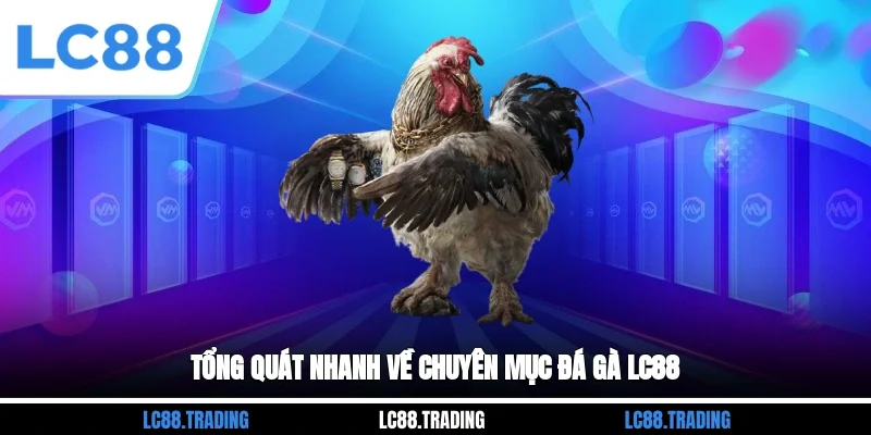 Tổng quát nhanh về chuyên mục đá gà LC88