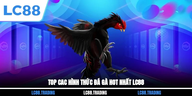 Top cac hình thức đá gà hot nhất LC88