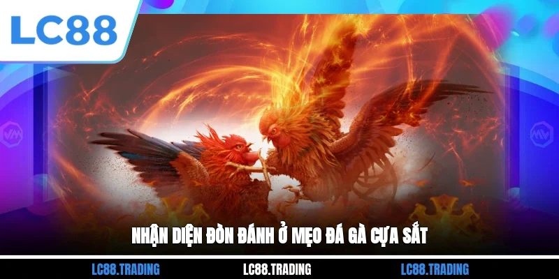 Nhận diện đòn đánh ở mẹo đá gà cựa sắt