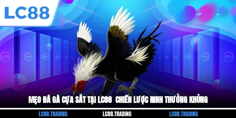 Mẹo Đá Gà Cựa Sắt Tại LC88 - Chiến Lược Rinh Thưởng Khủng