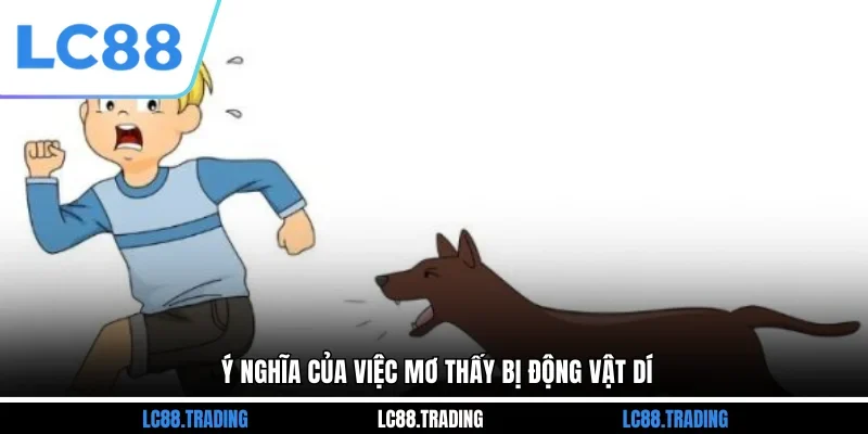 Ý nghĩa của việc mơ thấy bị động vật dí